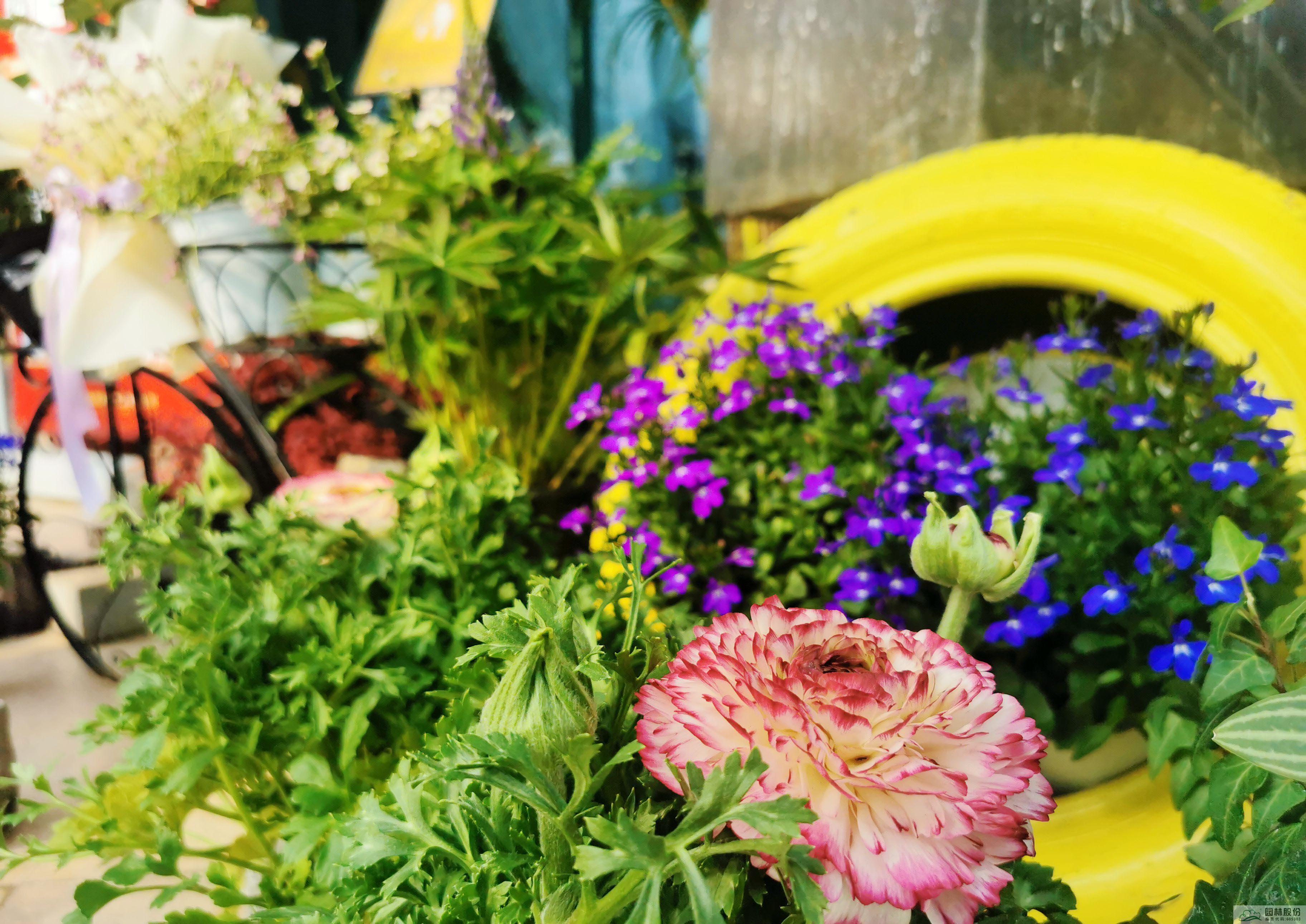 电竞比赛押注app