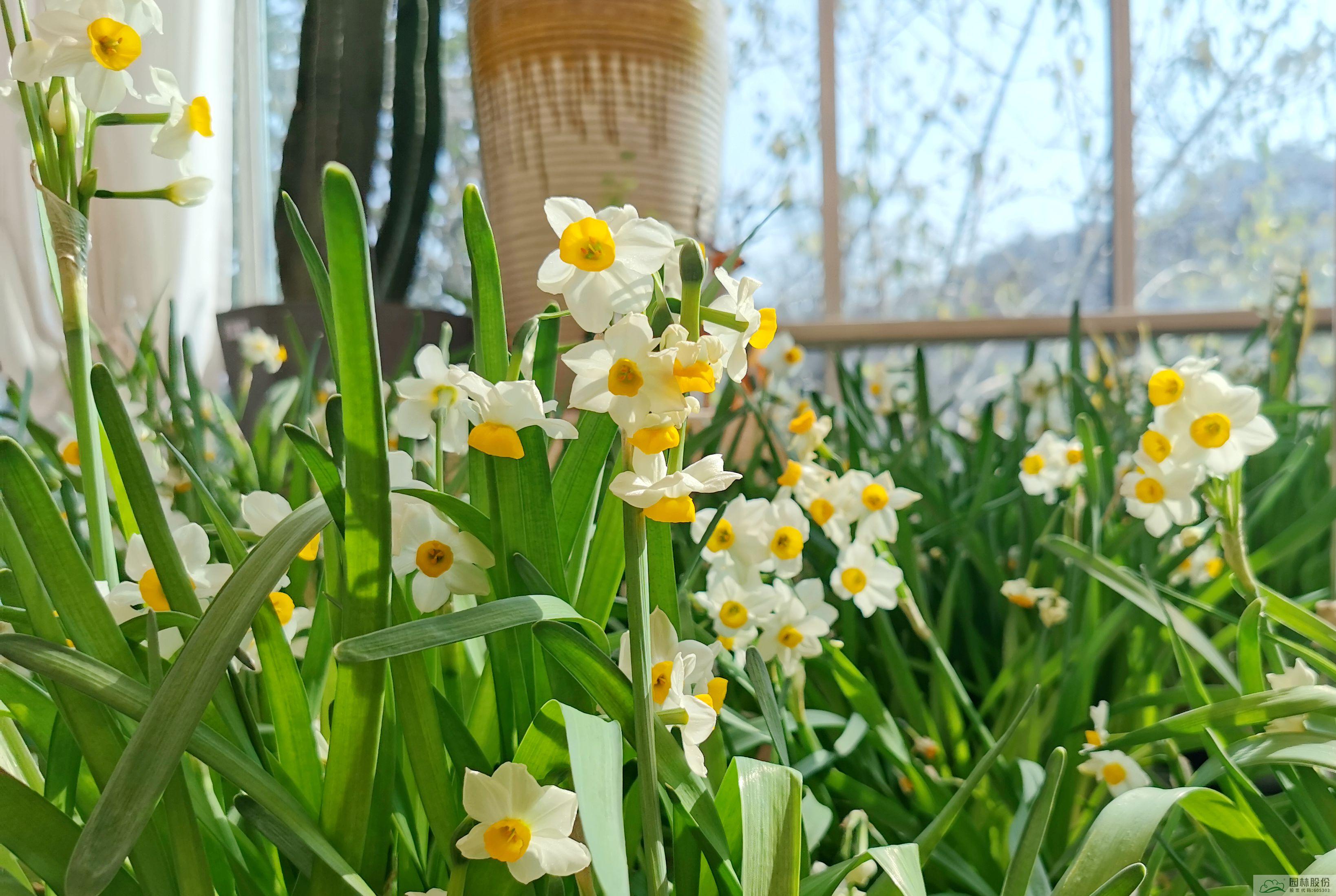 电竞比赛押注app