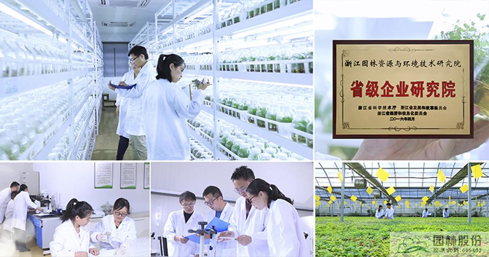 电竞比赛押注app