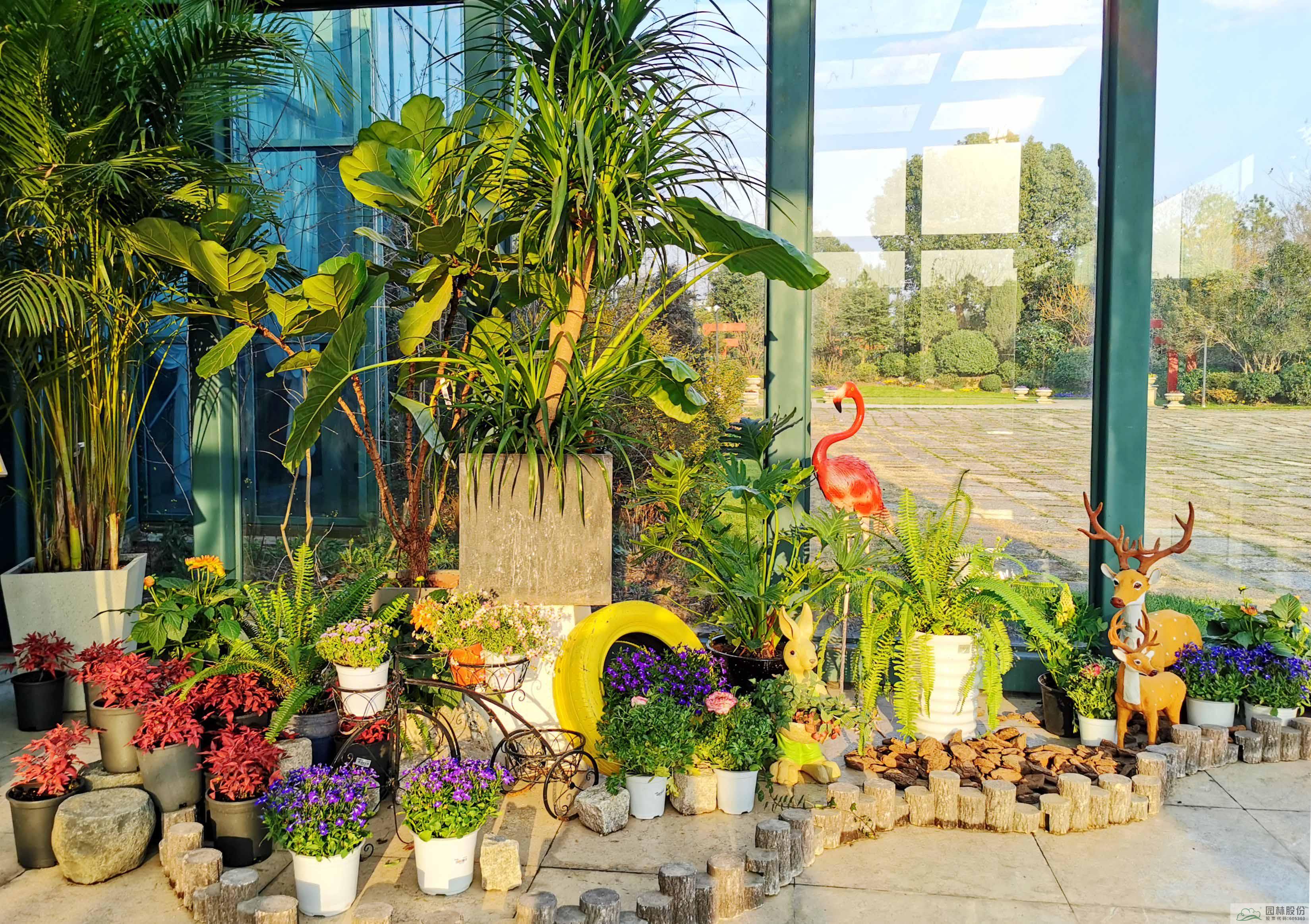 电竞比赛押注app