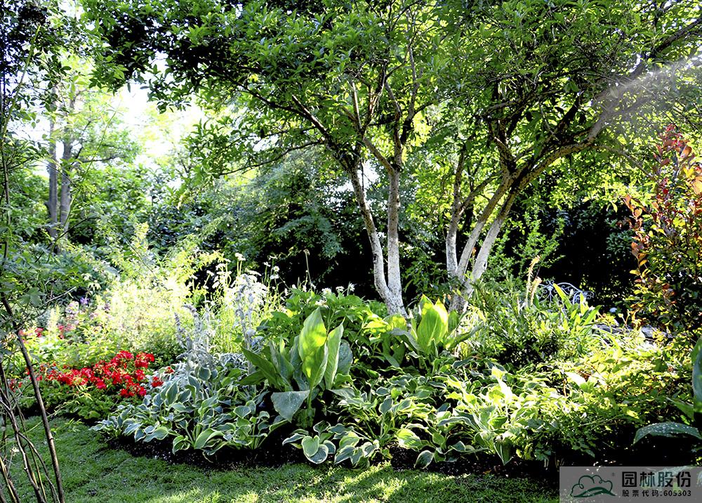 电竞比赛押注app