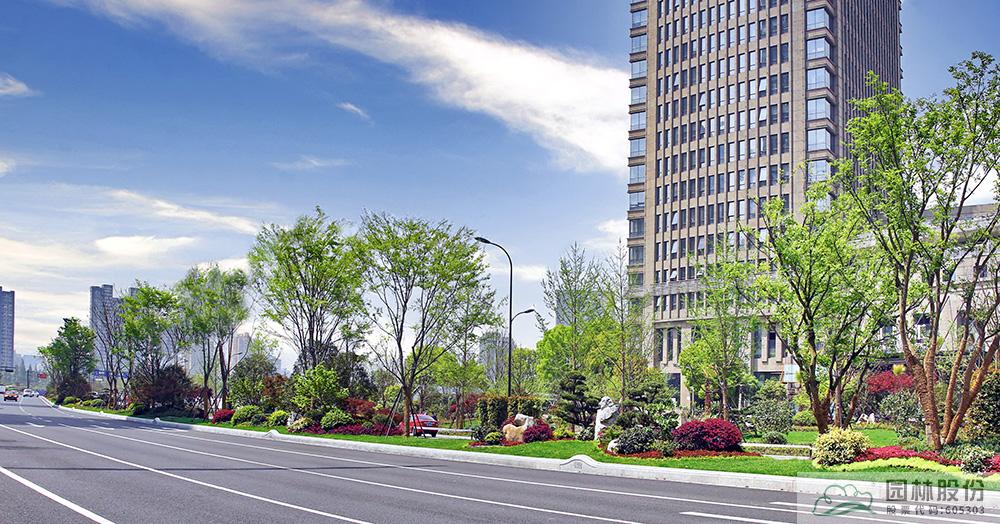 电竞比赛押注app