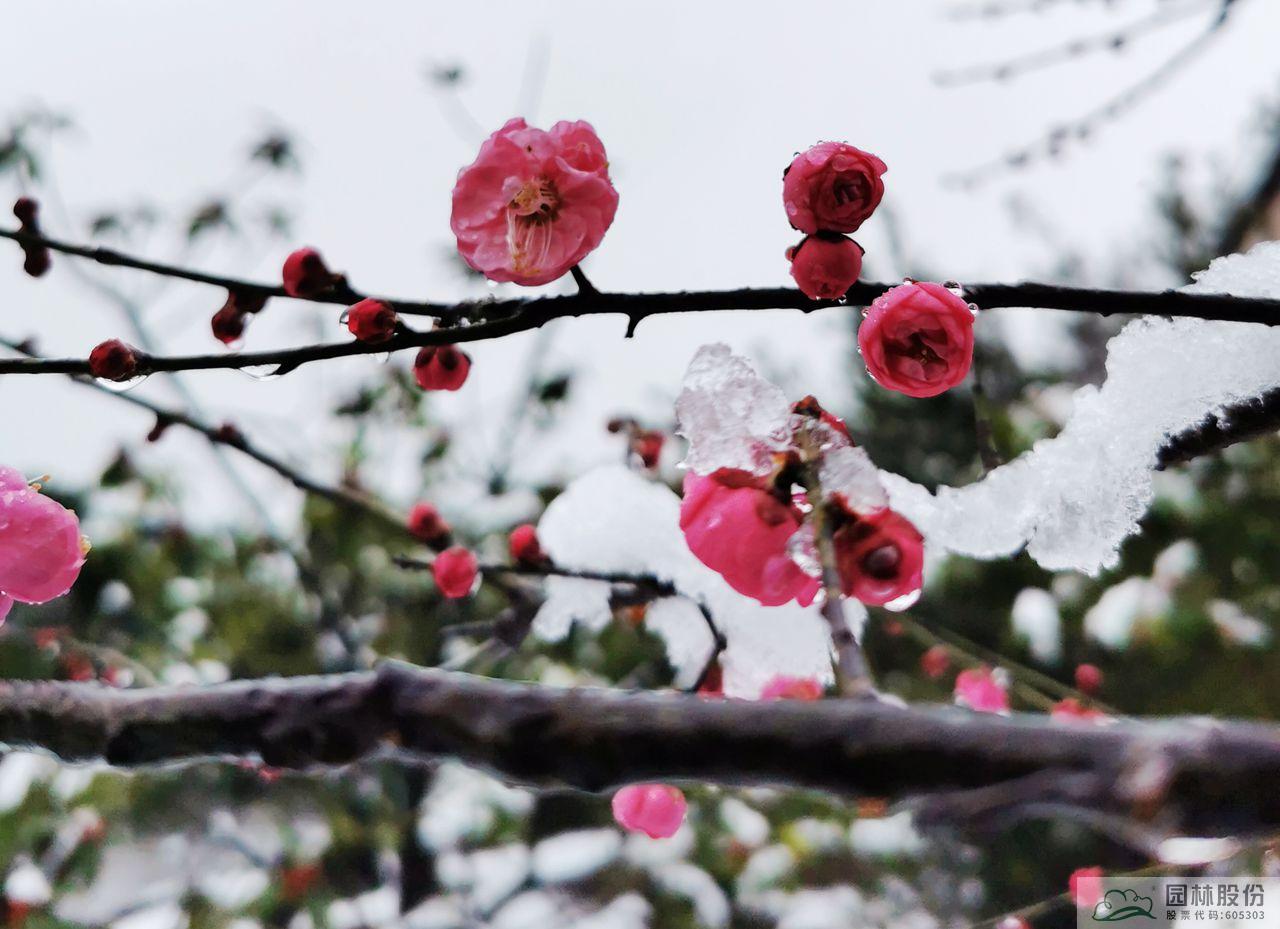 电竞比赛押注app