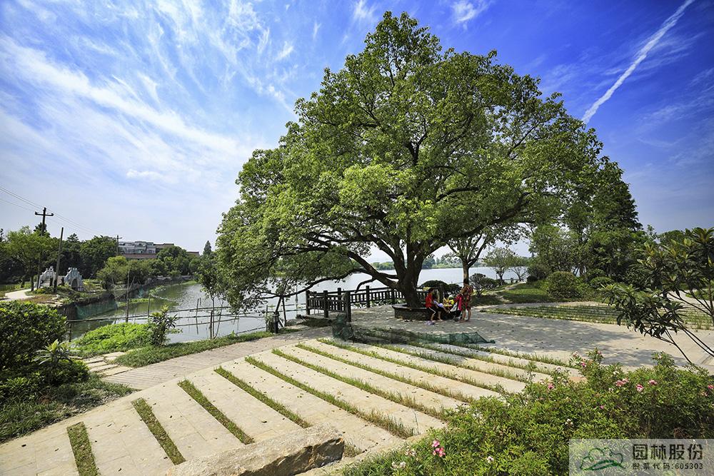 电竞比赛押注app