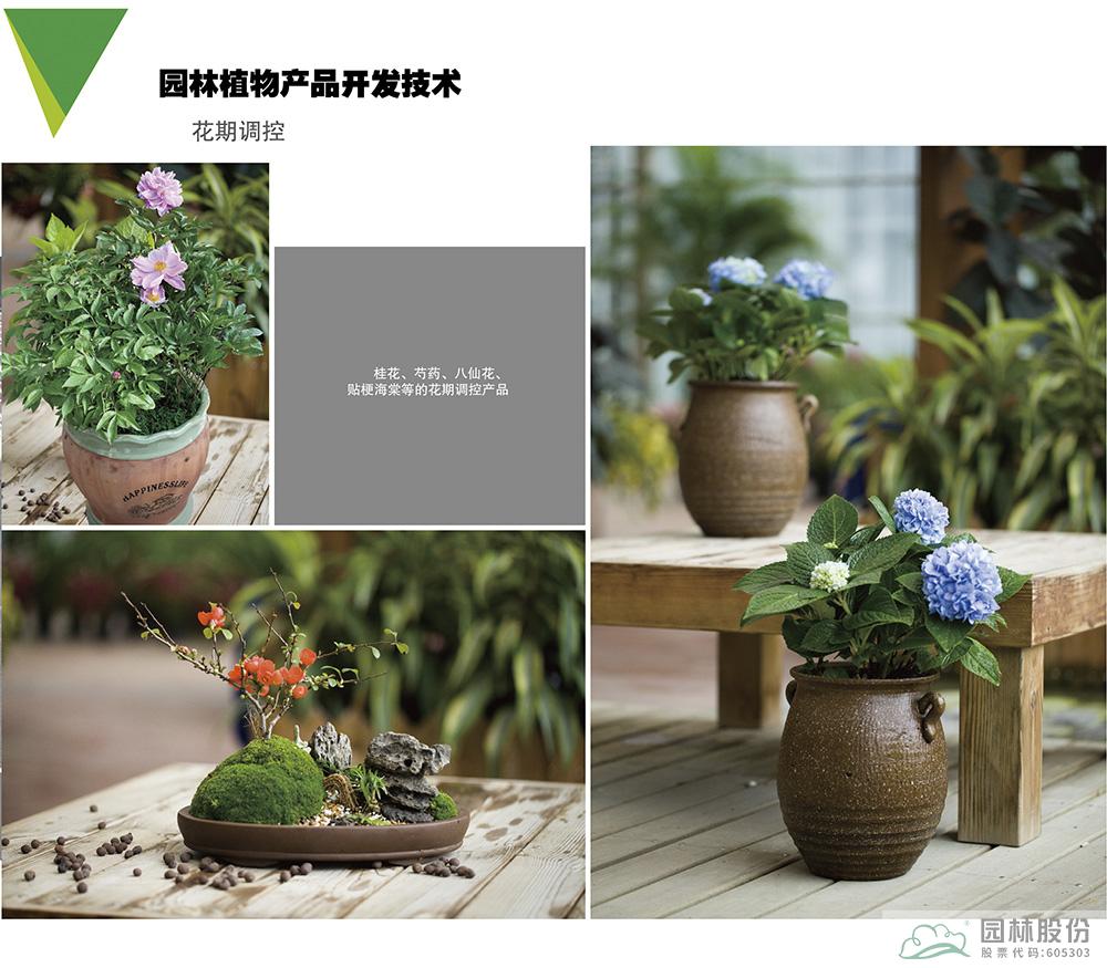 电竞比赛押注app