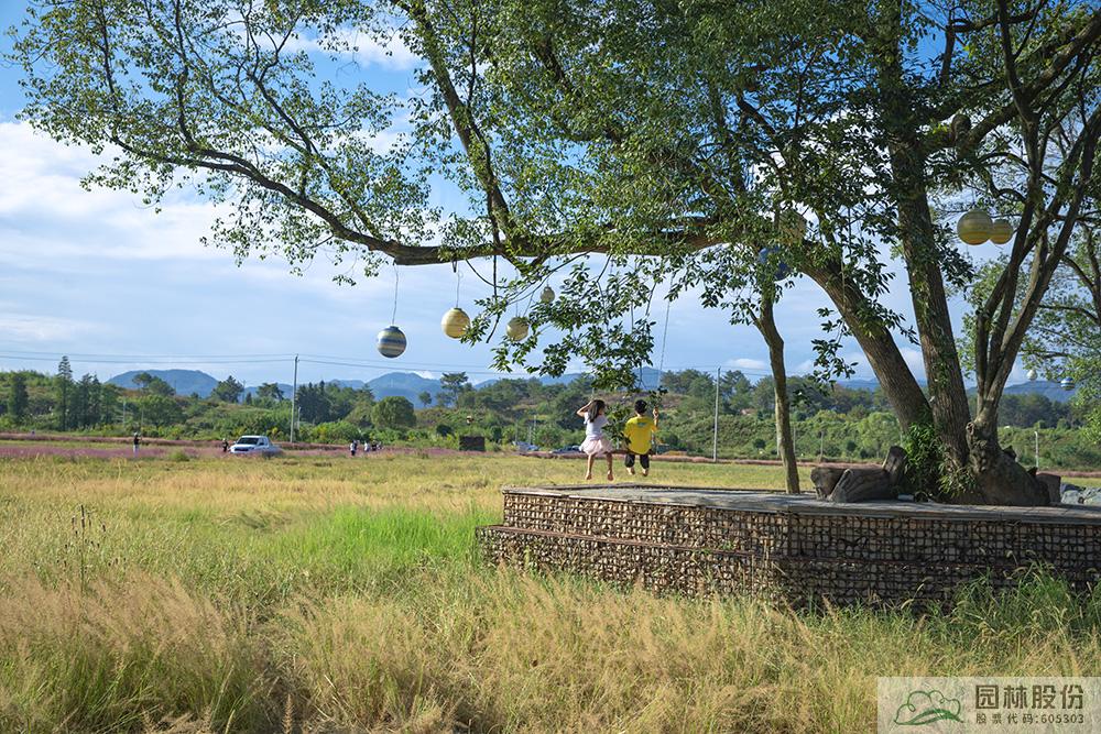 电竞比赛押注app