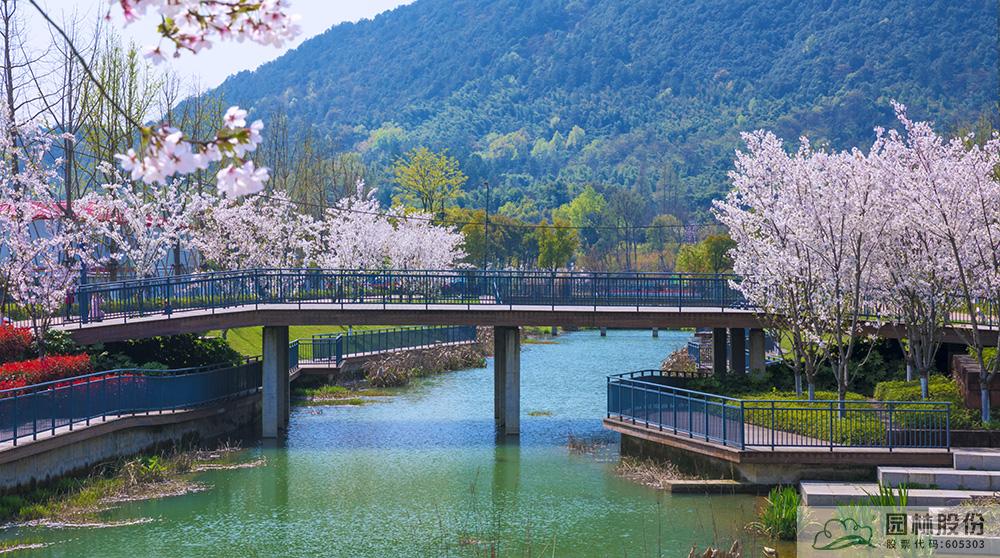 电竞比赛押注app