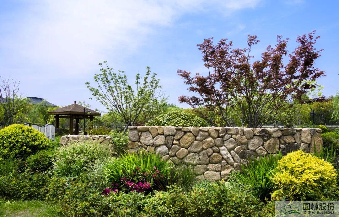 电竞比赛押注app