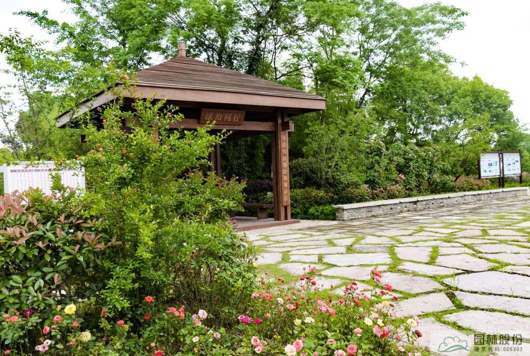 电竞比赛押注app