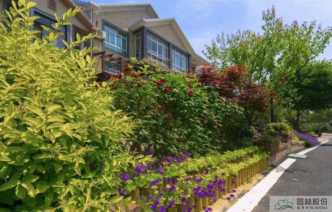 电竞比赛押注app