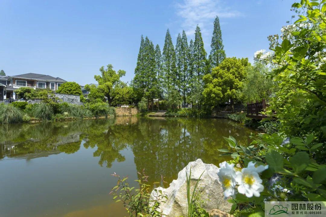 电竞比赛押注app