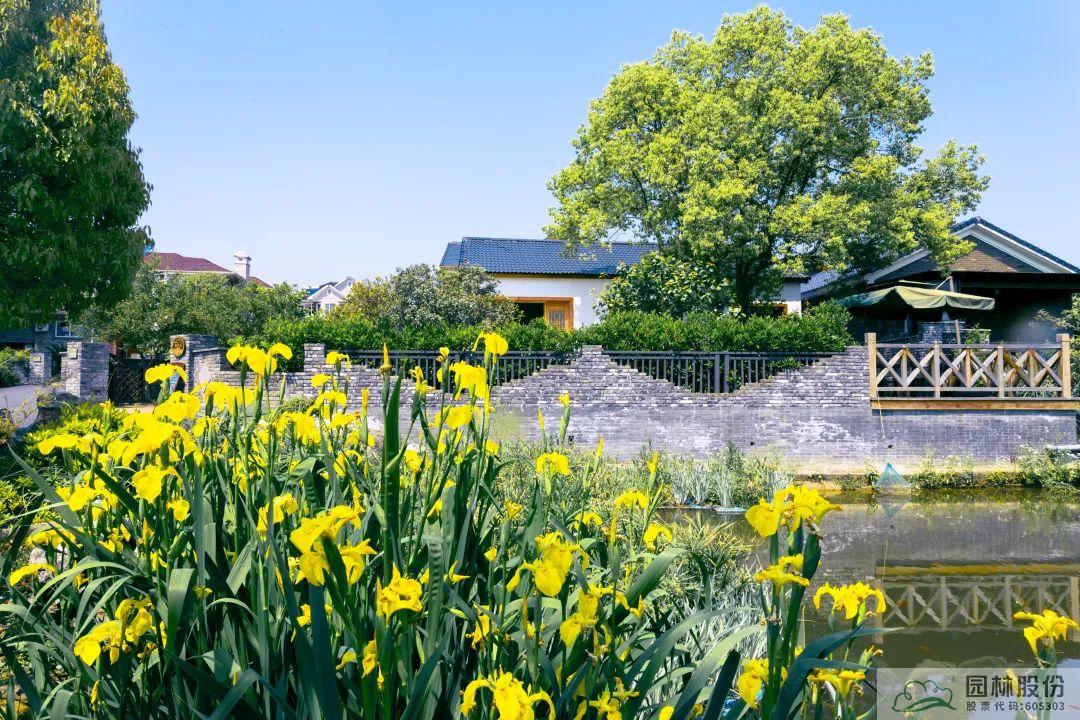 电竞比赛押注app