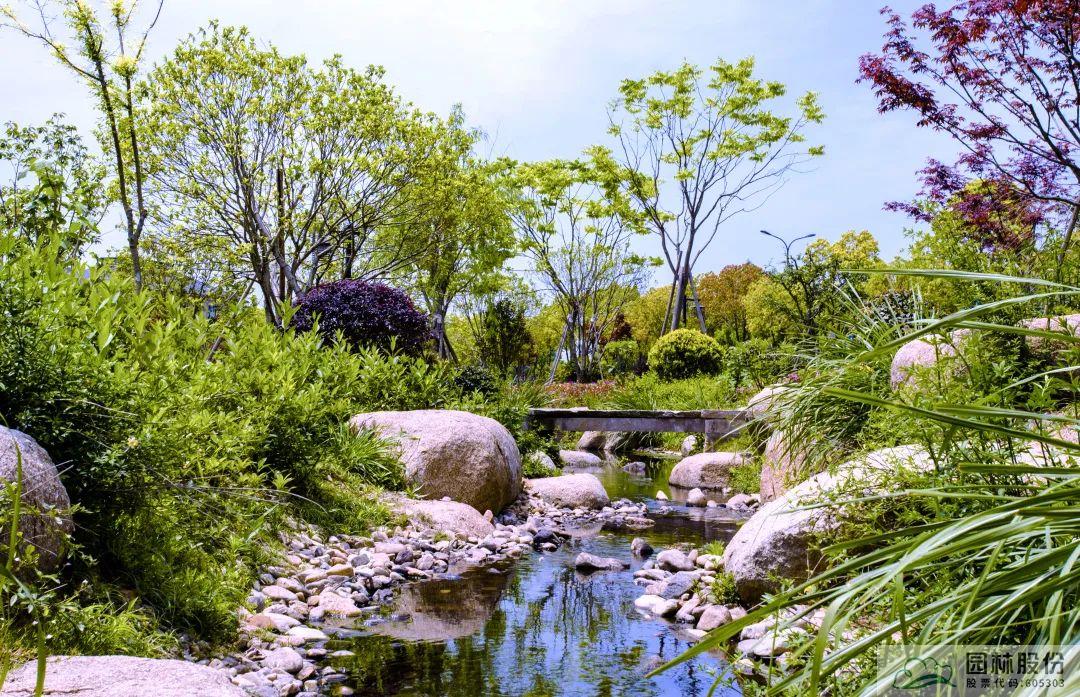 电竞比赛押注app