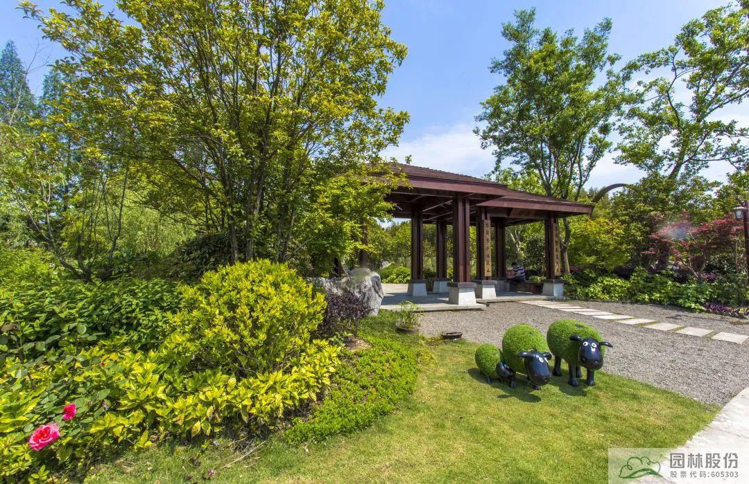 电竞比赛押注app