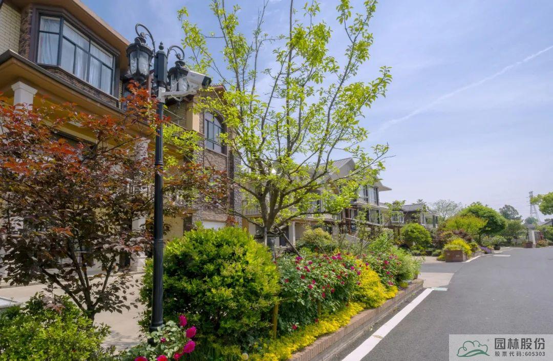 电竞比赛押注app