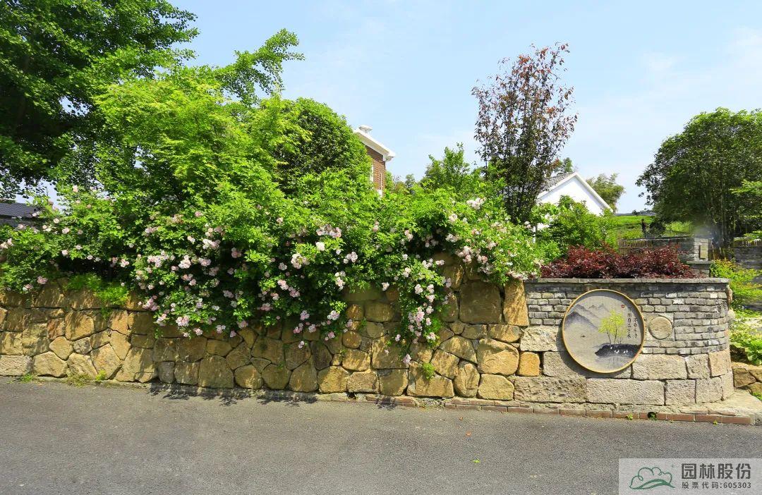 电竞比赛押注app