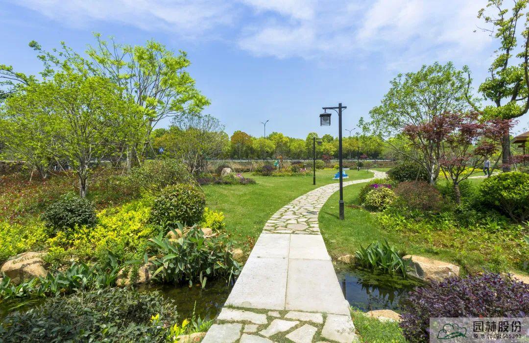 电竞比赛押注app