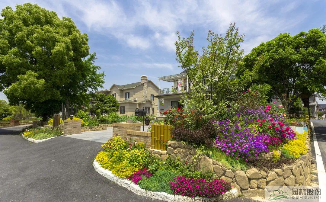 电竞比赛押注app