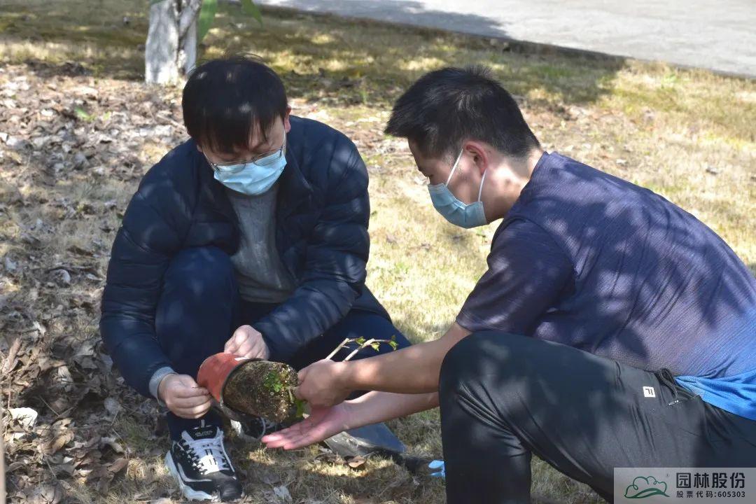 电竞比赛押注app