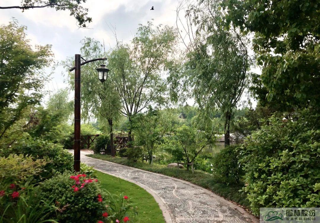 电竞比赛押注app