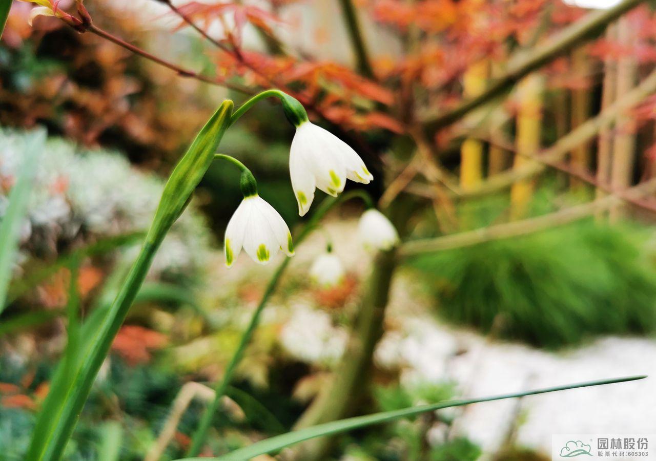 电竞比赛押注app