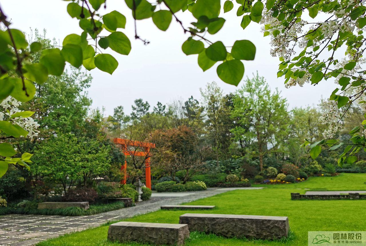 电竞比赛押注app