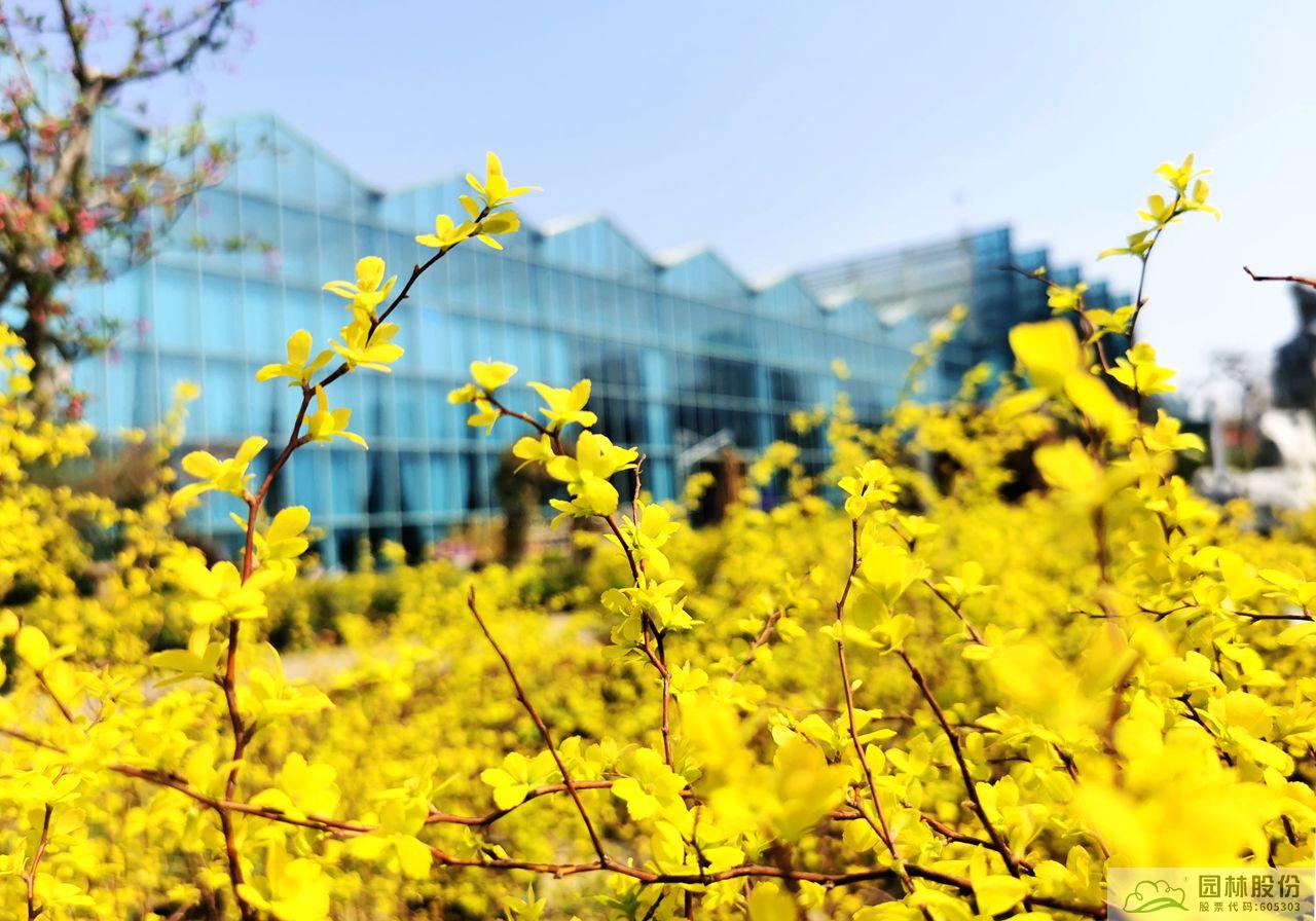 电竞比赛押注app