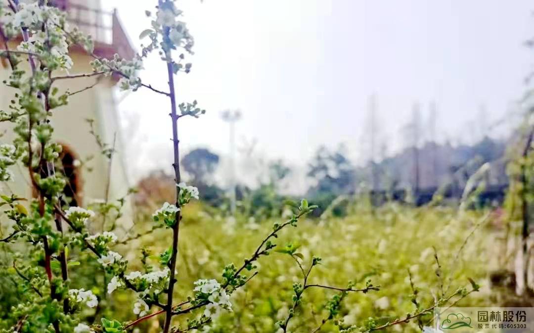 电竞比赛押注app