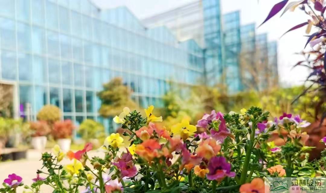 电竞比赛押注app