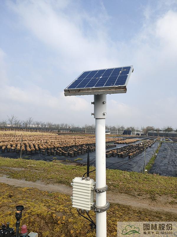 电竞比赛押注app