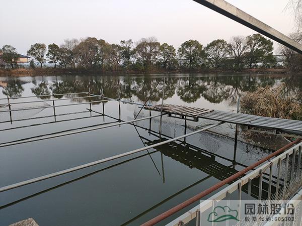 电竞比赛押注app