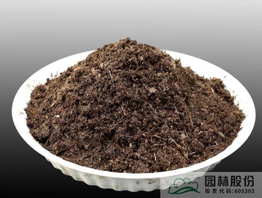 电竞比赛押注app