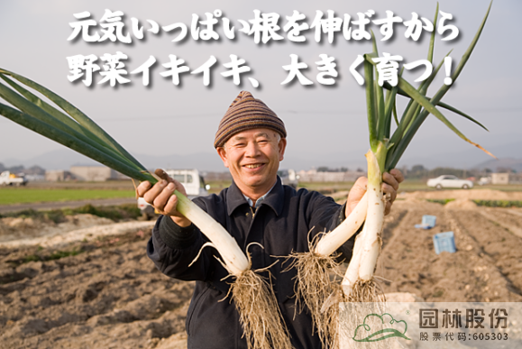 电竞比赛押注app