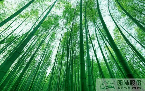 电竞比赛押注app