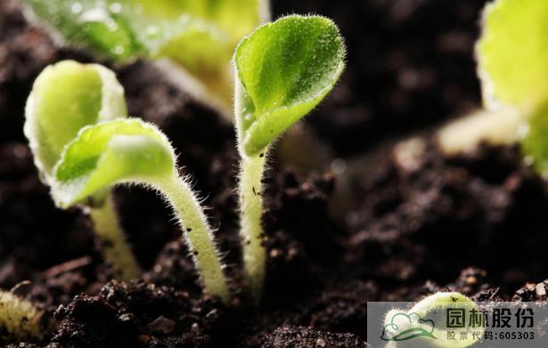 电竞比赛押注app