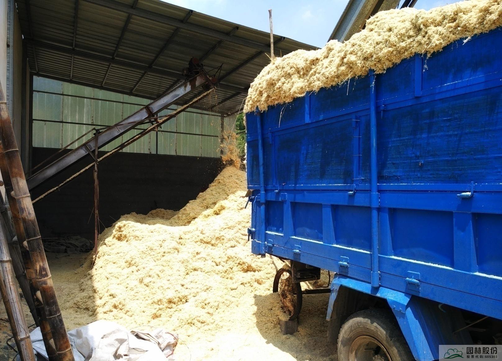 电竞比赛押注app