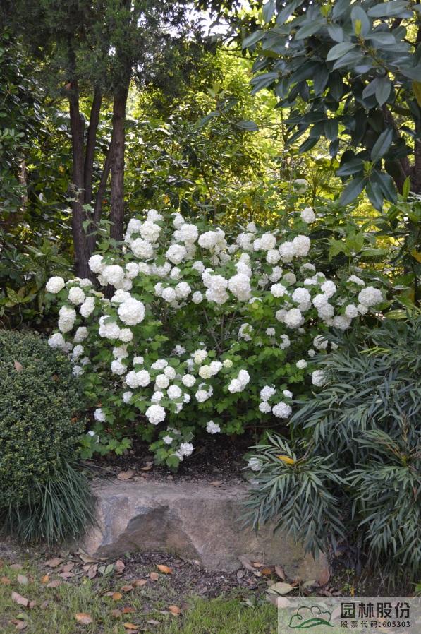 电竞比赛押注app