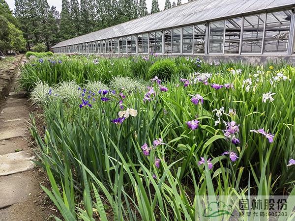 电竞比赛押注app