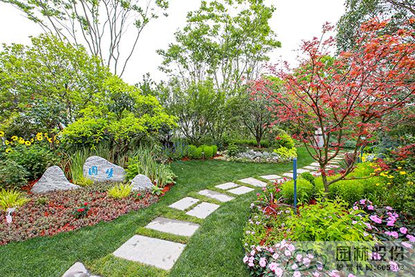 电竞比赛押注app