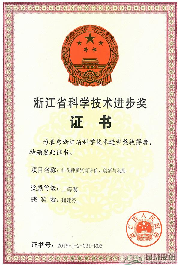 电竞比赛押注app