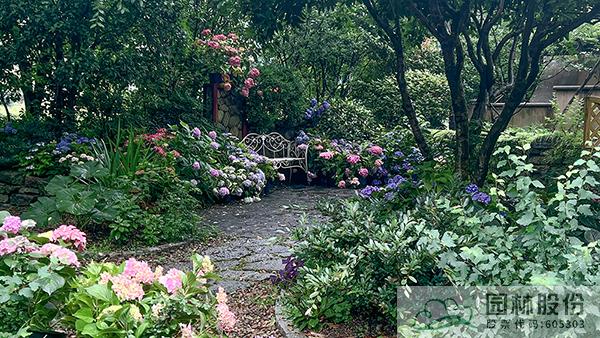 电竞比赛押注app