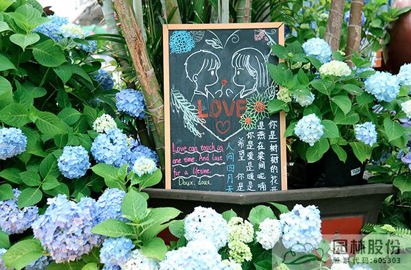 电竞比赛押注app