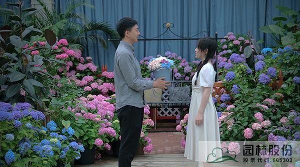 电竞比赛押注app