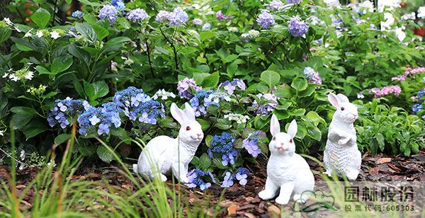 电竞比赛押注app