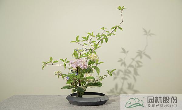 电竞比赛押注app