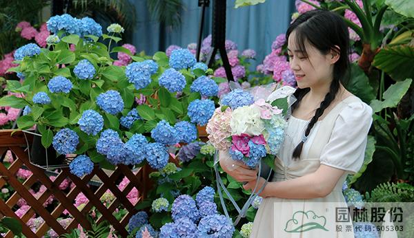 电竞比赛押注app