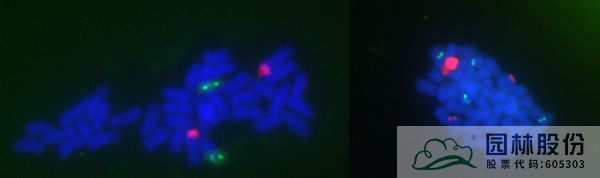 电竞比赛押注app