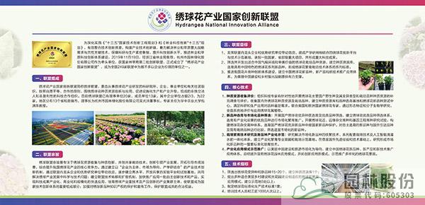 电竞比赛押注app