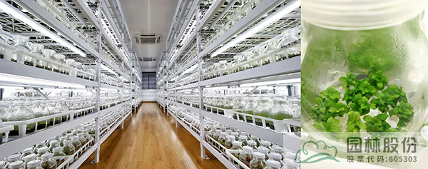 电竞比赛押注app