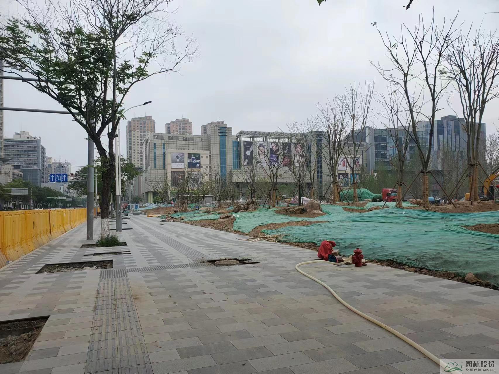 电竞比赛押注app